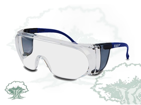 Gafas Pegaso Basic 3 Lente Pc Incolora Antivaho