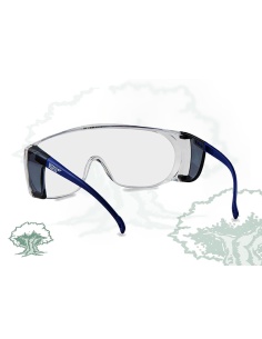 Gafas Pegaso Basic 3 Lente Pc Incolora Antivaho 2