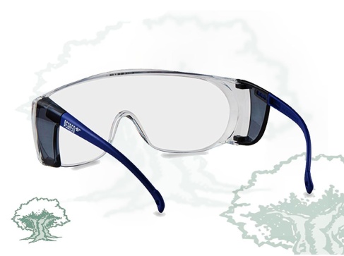 Gafas Pegaso Basic 3 Lente Pc Incolora Antivaho