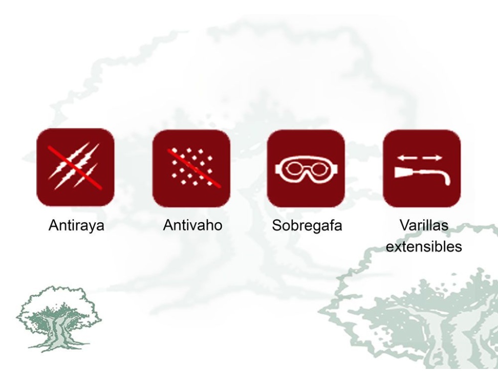 Gafas de protección contra impacto Pegaso