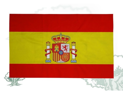 Bandera España exterior