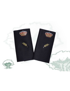 Hombreras Alumno en prácticas Policía Nacional