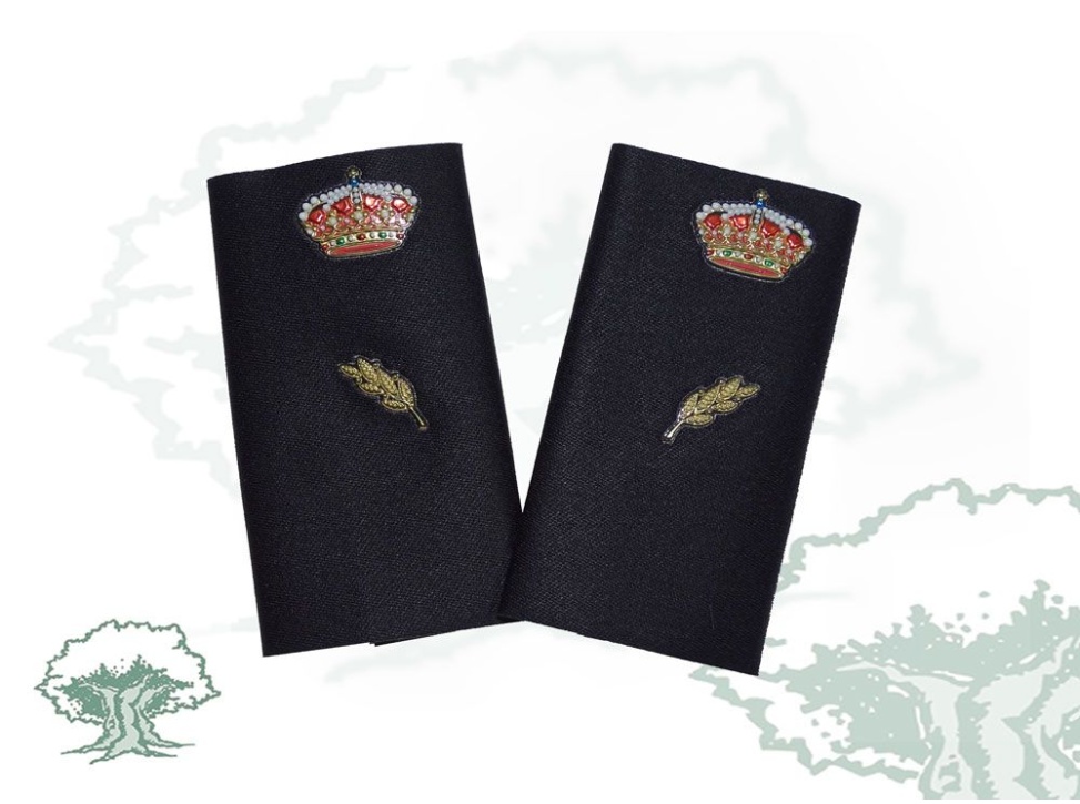 Hombreras Alumno en prácticas Policía Nacional