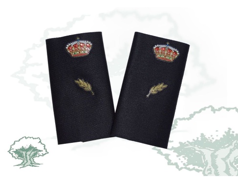 Hombreras Alumno en prácticas Policía Nacional