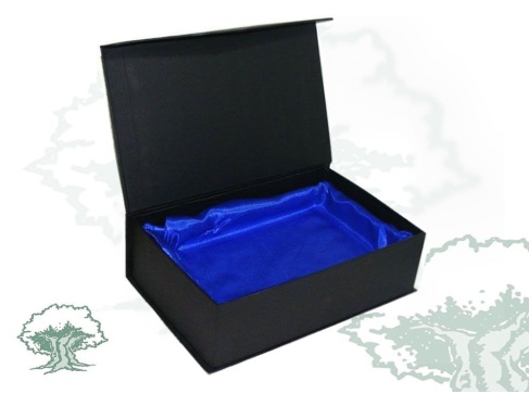 Placa dedicatoria de cristal biselado UPR Policía Nacional Placa dedicatoria de cristal biselado UPR Policía Nacional