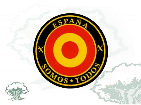 Pegatina escarapela militar España somos todos