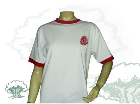 Camiseta de algodón Policía Nacional bicolor liquidación