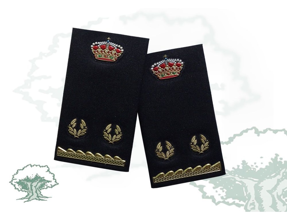 Hombreras Inspector en prácticas Policía Nacional