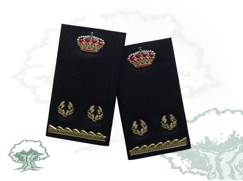 Hombreras Inspector en prácticas Policía Nacional