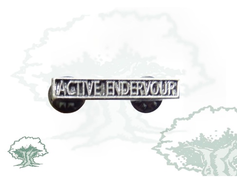 Barra Medalla Active Endervour