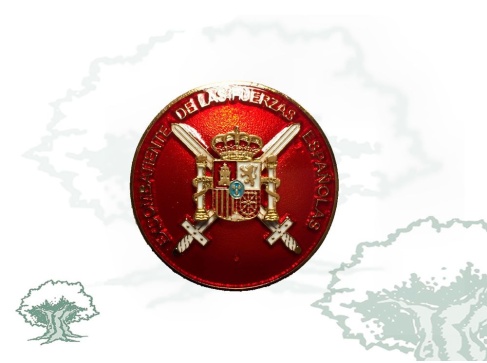 Distintivo Excombatiente Fuerzas Armadas para Oficiales