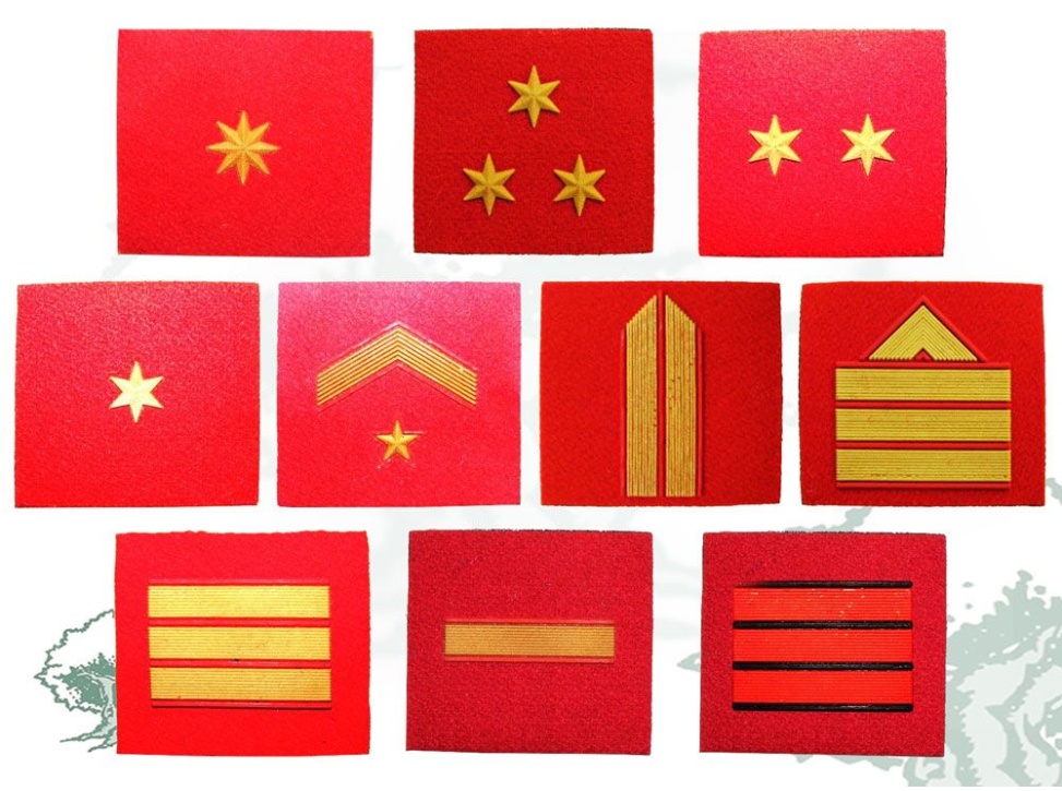 Galleta Educación Física Guardia Civil