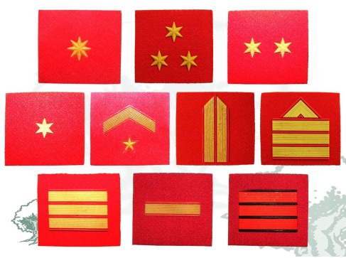 Galleta Educación Física de la Guardia Civil