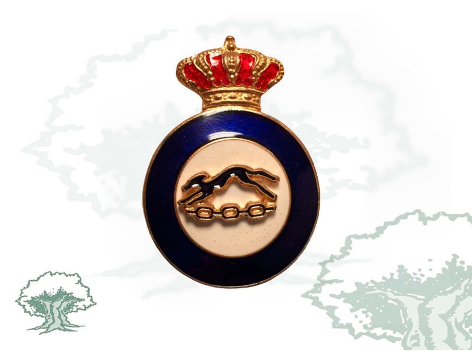 Distintivo de título Monitor de Educación Física Ejército