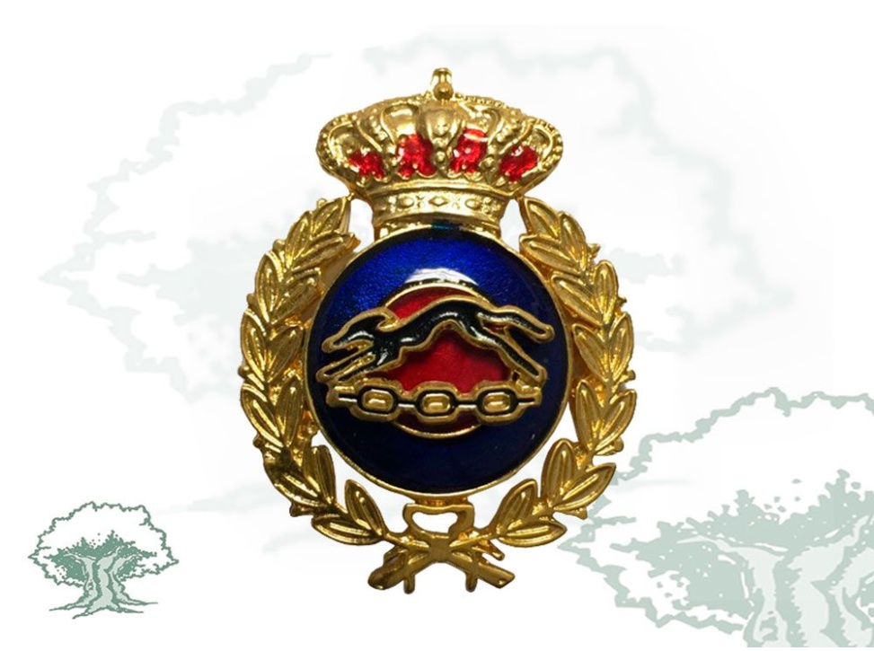 Distintivo de título Profesor de Educación Física Ejército