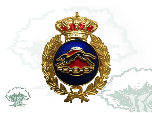 Distintivo de título Profesor de Educación Física Ejército