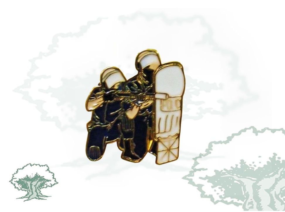 Pin antidisturbios con escudo Policía Nacional