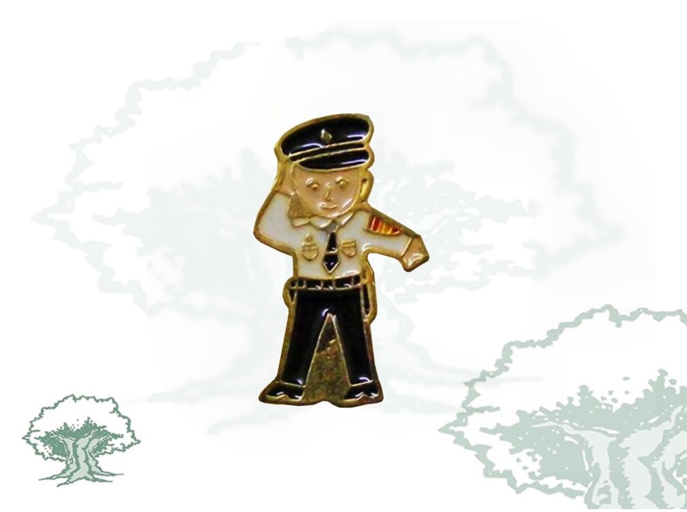 Pin Policía Nacional agente