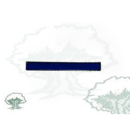 Barra UIP de la Policía Nacional azul
