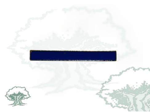 Barra UIP de la Policía Nacional azul