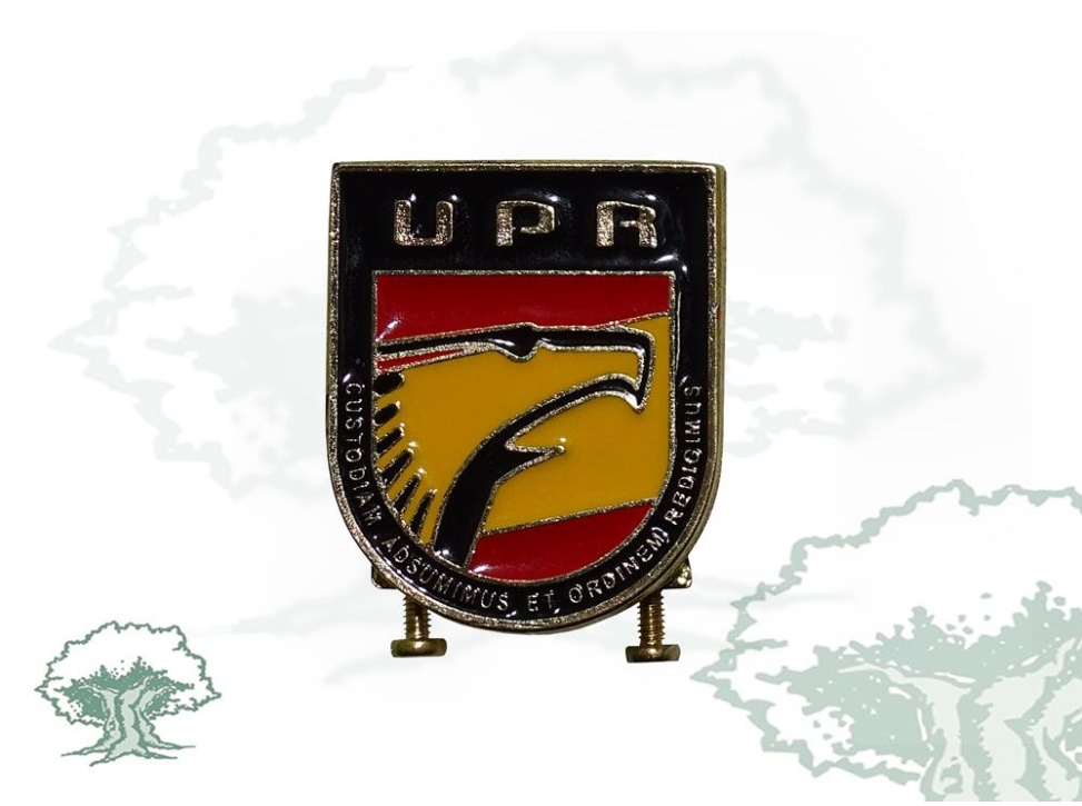 Distintivo de función UPR Policía Nacional