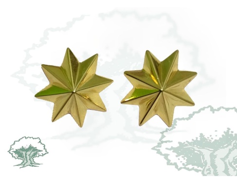 Estrellas 8 puntas de plata