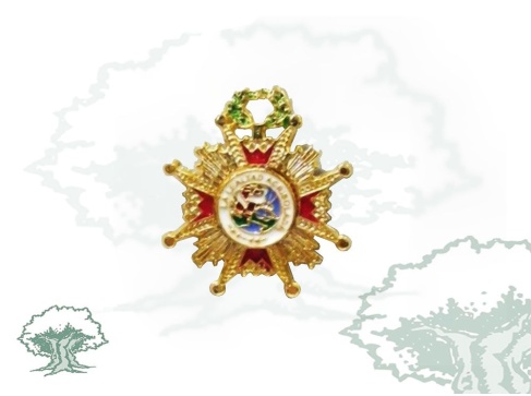 Pin Isabel la Católica