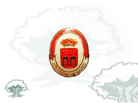 Pin Comunidad de Madrid