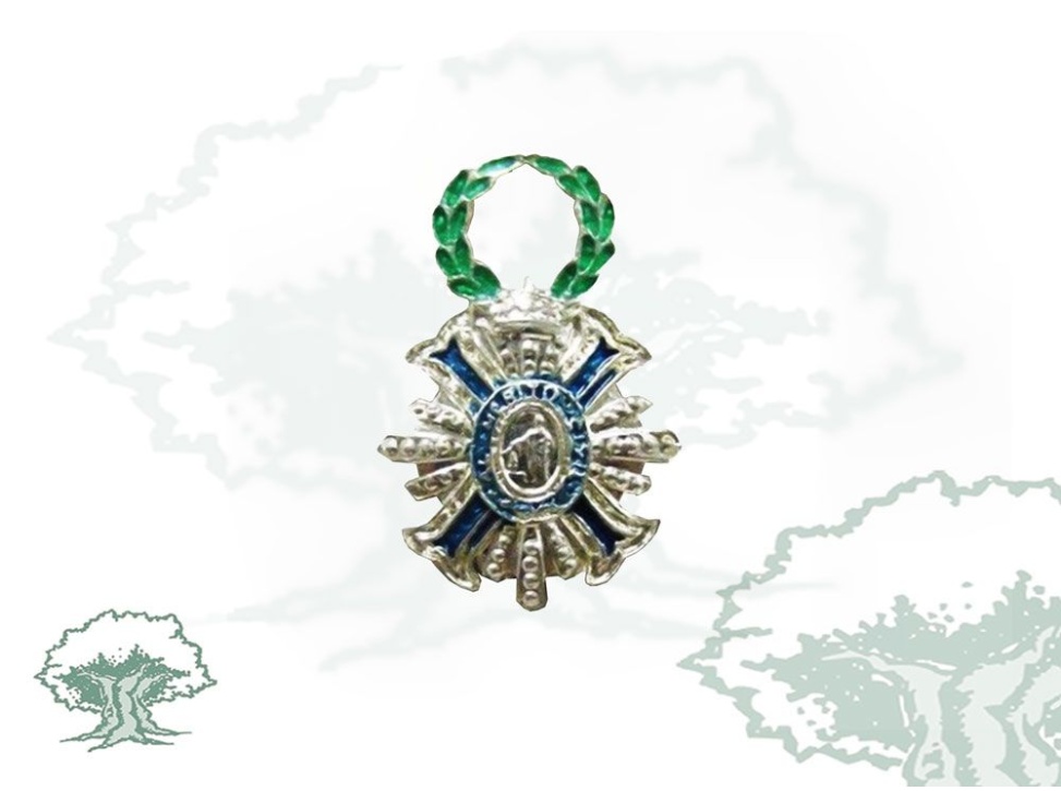 Pin Gran Placa Orden del Mérito Civil