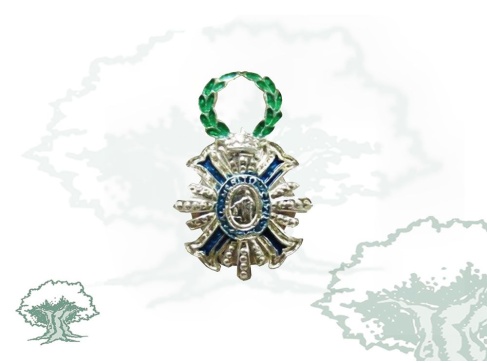 Pin Gran Placa de la Orden del Mérito Civil