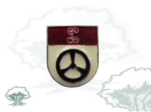 Pin Automovilismo Guardia Civil