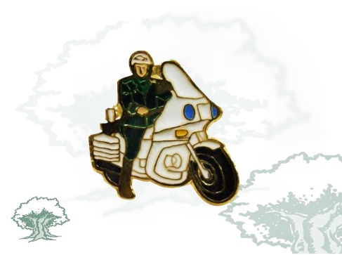 Pin Guardia Civil de Tráfico motorista color