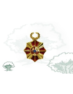 Pin Insignia Real Orden Reconocimiento Civil Víctimas Terrorismo
