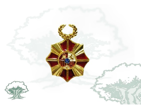 Pin Insignia Real Orden Reconocimiento Civil Víctimas Terrorismo Pin Insignia Real Orden Reconocimiento Civil Víctimas Terrorismo