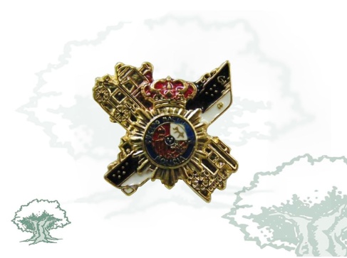 Pin Policía Nacional perfilado