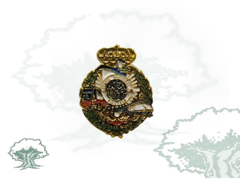 Pin Brigada Móvil Policía Nacional Pin Brigada Móvil Policía Nacional