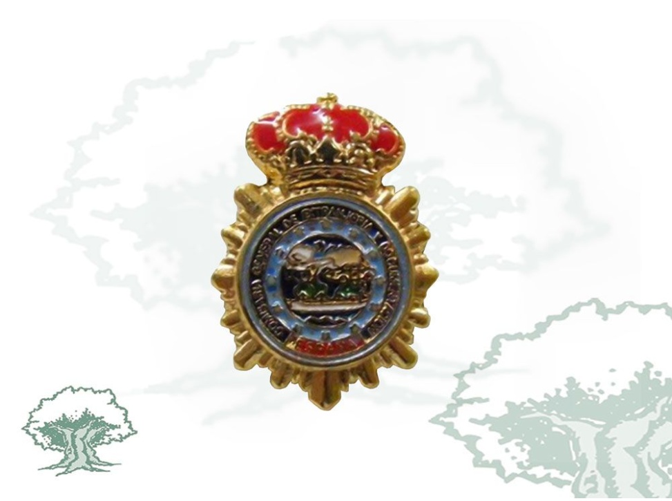 Pin Comisaría General de Extranjería Policía Nacional