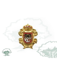 Pin Escuela de Investigación Policial Policía Nacional