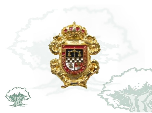 Pin Escuela de Investigación Policial