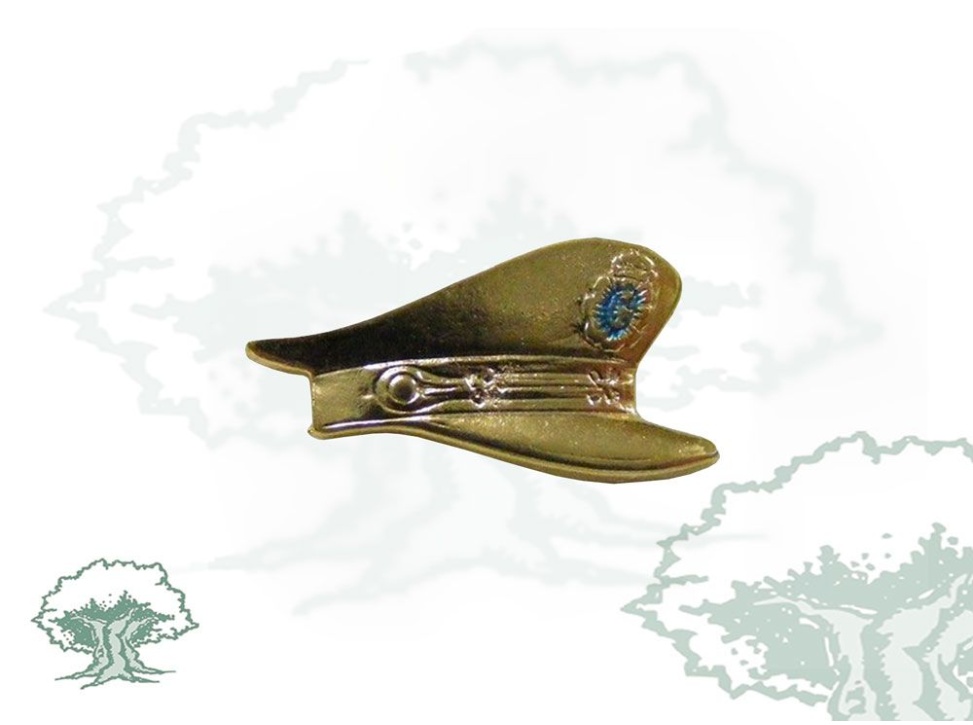 Pin gorra de plato Policía Nacional