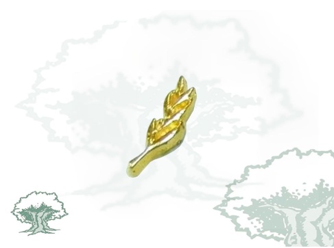 Pin Policía Nacional laurel