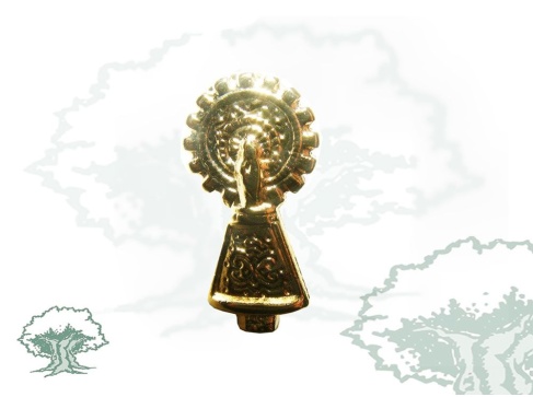 Pin Virgen del Pilar