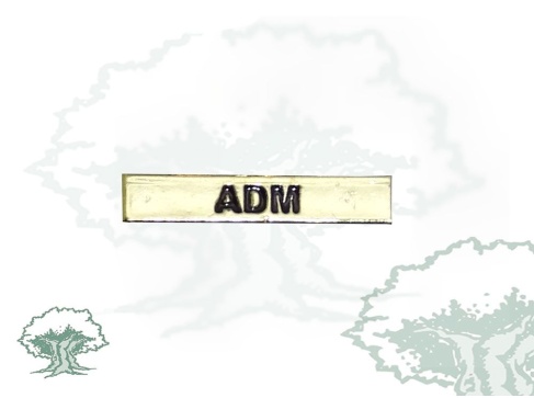 Barra Área de Administración del Ejército