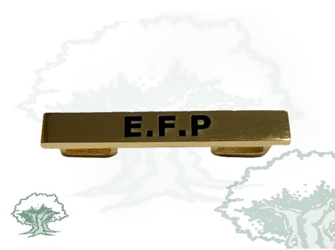 Barra misión E.F.P Letonia