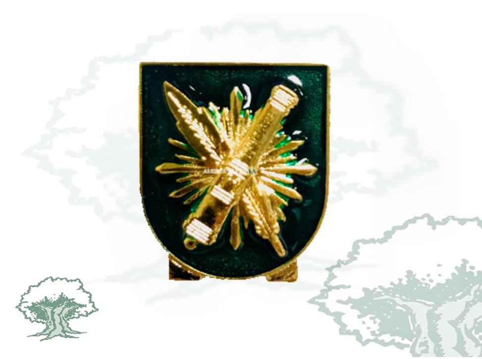 Distintivo Área de Abastecimiento Ejército