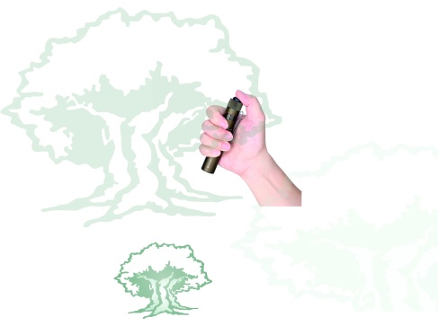 Linterna Olight M1T Raider Plus