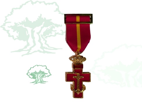 Cruz Mérito Naval distintivo rojo