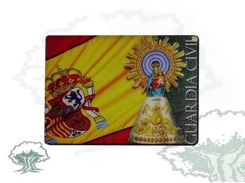 Imán Virgen del Pilar rectangular