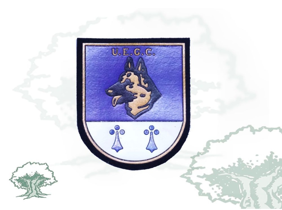 Parche UEGC Policía Nacional