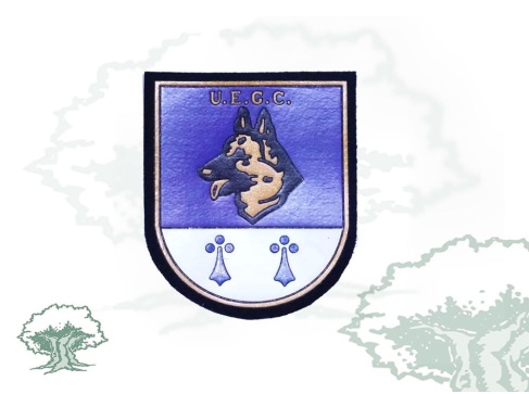 Parche UEGC Policía Nacional